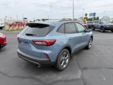 New 2025 Ford Escape ST-Line w/ Cold Weather Package image 6