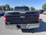 Used 2019 Ford F150 XLT w/ Equipment Group 302A Luxury image 4