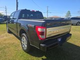 Used 2021 Ford F150 Platinum w/ Equipment Group 701A High image 5