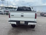 Used 2013 Ford F150 FX4 w/ Luxury Equipment Group image 3