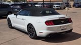 Used 2022 Ford Mustang Premium image 5