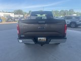 Used 2016 Ford F150 XLT w/ Equipment Group 301A Mid image 5