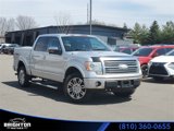 Used 2009 Ford F150 Platinum image 1