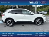 Used 2020 Ford Escape SEL image 4