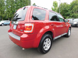 Used 2010 Ford Escape Limited image 2