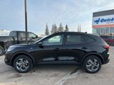 New 2025 Ford Escape ST-Line w/ Tech Pack #1 image 3