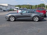 Used 2016 Ford Mustang Coupe image 5