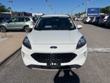 Used 2020 Ford Escape Titanium image 2