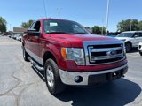 Used 2014 Ford F150 XLT w/ Equipment Group 301A Mid image 4