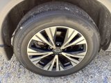 Used 2023 Nissan Rogue SV w/ SV Premium B Package image 4