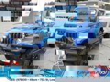 View Video