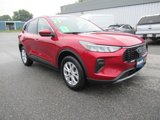 Used 2023 Ford Escape Active w/ Tech Pack #2 image 3