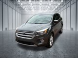 Used 2019 Ford Escape SE image 3