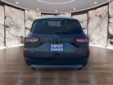 Used 2021 Ford Escape SE w/ Cold Weather Package image 4