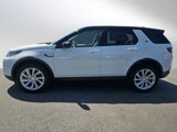 New 2023 Land Rover Discovery Sport SE image 2