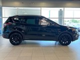 Used 2017 Ford Escape Titanium image 5