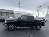 Used 2013 Ford F150 XLT w/ Luxury Equipment Group image 6