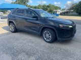 Used 2019 Jeep Cherokee Latitude Plus w/ Comfort/Convenience Group image 3
