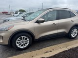 Used 2020 Ford Escape SE image 2