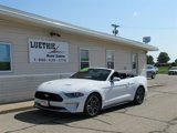 Used 2018 Ford Mustang Premium w/ Equipment Group 201A image 4