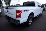 Used 2019 Ford F150 XLT w/ Equipment Group 302A Luxury image 5
