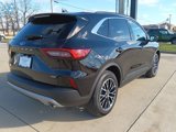 New 2025 Ford Escape SE image 3