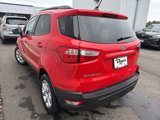Used 2021 Ford EcoSport SE image 5