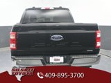 Used 2021 Ford F150 XL image 4