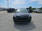 Used 2021 Ford Escape SE w/ Convenience Package image 3