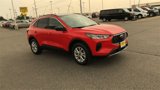 Used 2024 Ford Escape Active w/ Tech Pack #1 image 2