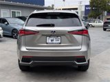 Used 2020 Lexus NX 300h AWD w/ Premium Package image 4