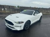 Used 2019 Ford Mustang Premium image 2