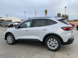New 2025 Ford Escape Active w/ Tech Pack #1 image 3