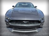 Used 2023 Ford Mustang Premium image 2