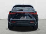 New 2025 Lexus NX 350 AWD w/ Accessory Package (2T) image 6
