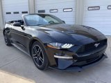 Used 2022 Ford Mustang Premium image 2