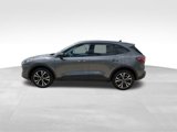 Used 2021 Ford Escape SE w/ SE Sport Appearance Package image 3