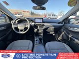 Used 2021 Ford Escape SE w/ SE Sport Appearance Package image 6