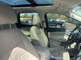 Used 2013 Ford Escape SEL image 2