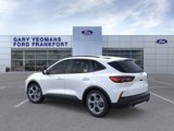 New 2025 Ford Escape ST-Line w/ Tech Pack #1 image 4