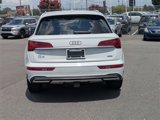 Used 2021 Audi Q5 2.0T Premium Plus w/ Premium Plus Package image 4