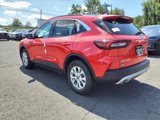 New 2024 Ford Escape Active w/ Tech Pack #1 image 4