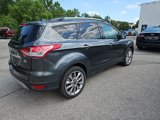 Used 2016 Ford Escape SE w/ SE Chrome Package image 4