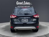 Used 2014 Ford Escape SE w/ Equipment Group 201A image 4