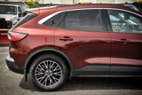 Used 2021 Ford Escape SEL w/ Technology Package image 5
