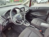 Used 2019 Ford EcoSport SE image 3
