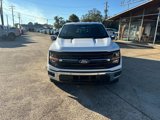 New 2024 Ford F150 XLT w/ Equipment Group 302A MID image 2