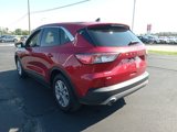 Used 2022 Ford Escape SE w/ Convenience Package image 5