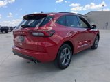 Used 2024 Ford Escape ST-Line w/ Tech Pack #1 image 4