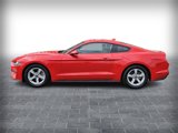 Used 2021 Ford Mustang Coupe image 2